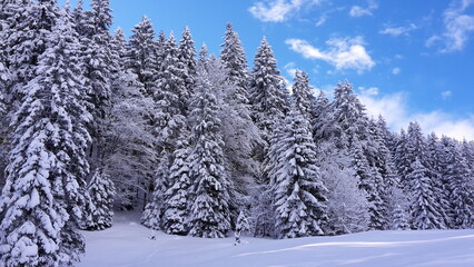 wunderschöne Winter
