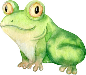 Hand Drawn Watercolor Cute Cartoon Frog