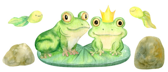 Fototapeta premium Hand Drawn Watercolor Cute Cartoon Frogs Set