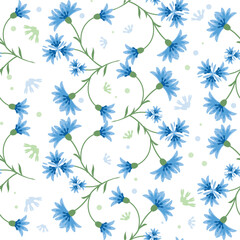 Vector seamless floral summer pattern blue cornflowers 
