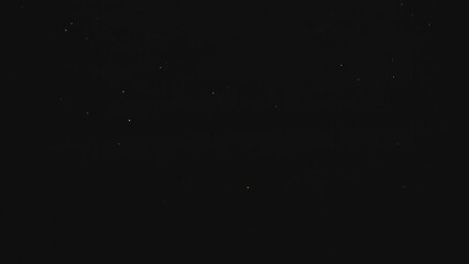 Nagano, Japan - June 18, 2023: Japanese firefly or genjibotaru or Luciola cruciata glowing in Tatsuno, Nagano, Japan
