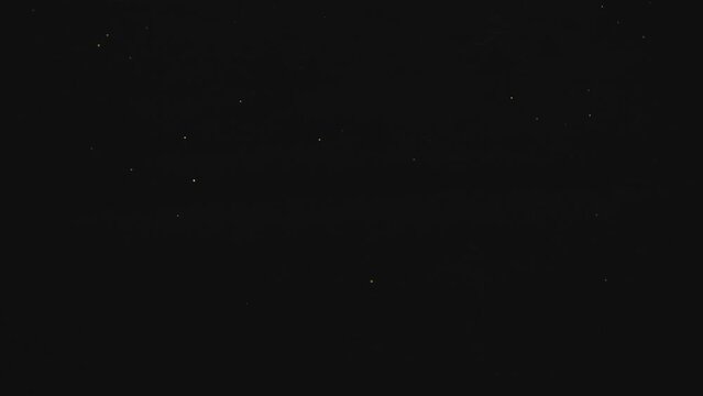 Nagano, Japan - June 18, 2023: Japanese firefly or genjibotaru or Luciola cruciata glowing in Tatsuno, Nagano, Japan
