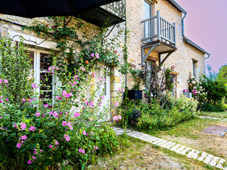 Obraz premium old house with flowers