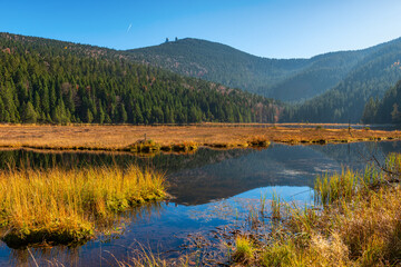 Naklejka premium Kleiner Arbersee im Bayerischen Wald