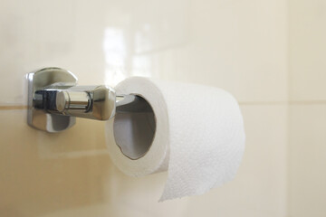 Roll of toilet paper on wall mounted holder