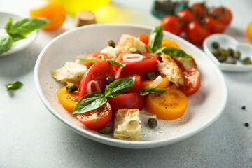 Traditional homemade bread salad with tomatoes