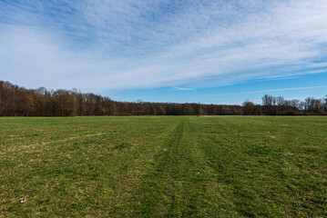 Fototapeta na wymiar Huge early springtime meadow with forest around and blue sky with clouds