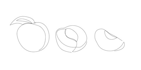 peach. a drawing drawn with a single line. black lines with added color. peach slices. modern style of drawing. vector. juicy fruit.
