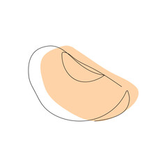peach. a drawing drawn with a single line. black lines with added color. peach slices. modern style of drawing. vector. juicy fruit.