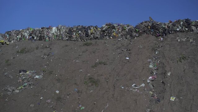 A lonely chimango caracara sits atop a mound full of non-recyclable garbage in a recycling facility.