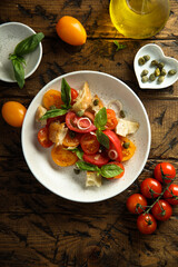 Traditional homemade bread salad with tomatoes