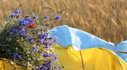 Bouquet of cornflowers, poppies and chamomile on the background flag of Ukraine is blue-yellow...