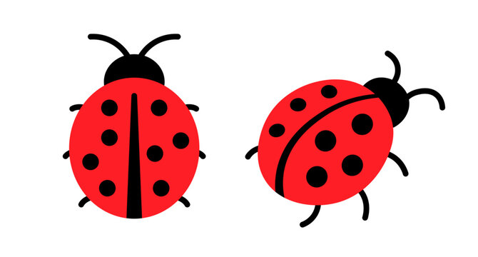 Lady bug cartoon flat icon. Ladybug simple small vector cute symbol. Ladybird beetle isolated red logo design.