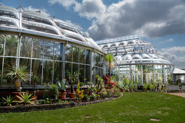 Fototapeta na wymiar greenhouse with plants