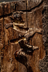 nature details