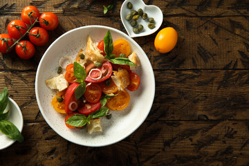 Traditional homemade bread salad with tomatoes