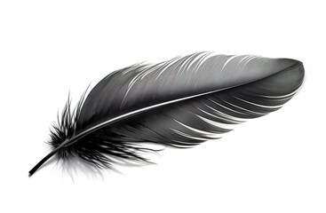 Image of black feather on white background. Illustration, Generative AI.
