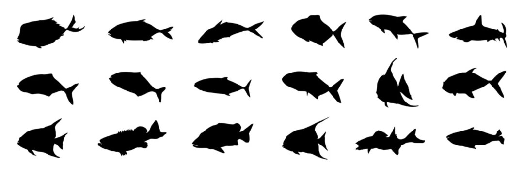 Black fish silhouette collection. Set of black fish icons. Vector fish silhouette