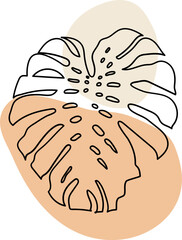 monstera leaf boho element outline hand drawn