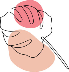 monstera leaf boho element outline hand drawn