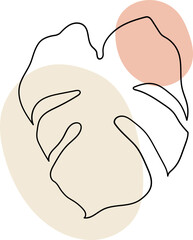 monstera leaf boho element outline hand drawn