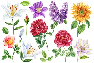 Schilderijen op glas Flowers set, watercolor summer floral illustrations for invitation, card, design. Flower and leaf on a white background © Hanna