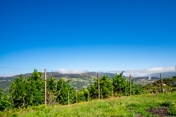 paisagem