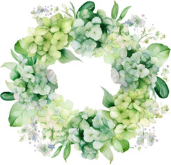 hydrangea wreath flowers watercolor isolated