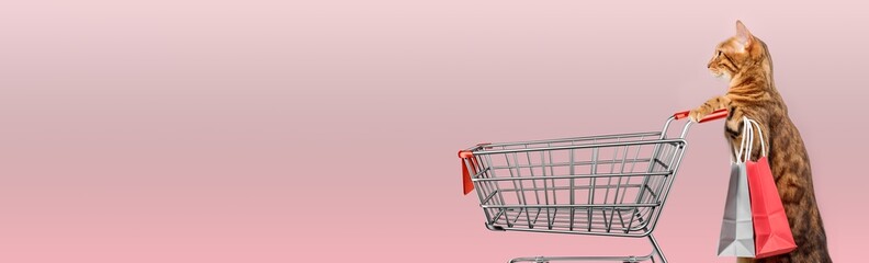 Cat with a shopping cart on a colored background.