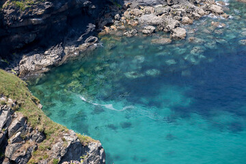 Wild rocky coastline at Trevose Head in Cornwall