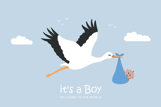 baby greeting card with cartoon stork with newborn baby boy vector illustration EPS10