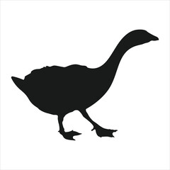 Minimalistic goose or duck black silhouette on white background.