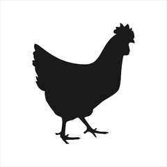 Minimalistic chicken or cock black silhouette on white background.