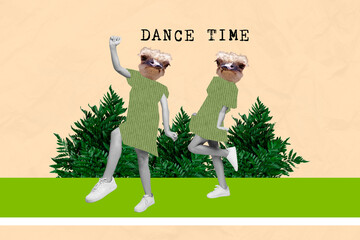 Collage photo of two birds masquerade masks dance time party have fun animals zoo nature carefree...
