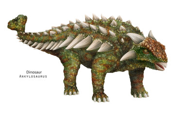 Ankylosaurus illustration. Dinosaur with spikes, horns. Green dino - 614709383