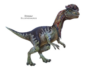Dilophosaurus illustration. Dinosaur with crest on head. Green, grey dino