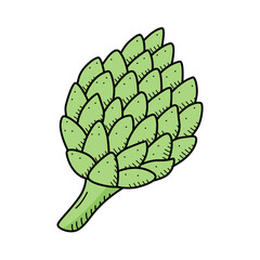 Artichoke doodle icon, vector single vegetable on a white background.