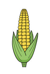 Obraz premium Corn icon doodle. Vector drawing of a ripe corn cob, vegetable on a white background.