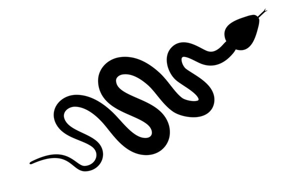 Snake silhouette. Serpent animal. Vector illustration isolated on white.