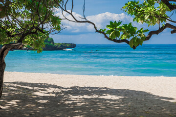 Fototapeta na wymiar Tropical banner of Luxury beach with tropical trees, sand and quiet blue ocean.