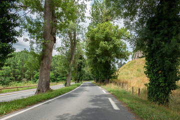 Fototapeta na wymiar Estrada de asfalto de duas vias separadas com grandes árvores a meio e na berma num dia nublado