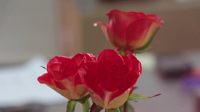 A man spray paints roses with red spray paint.