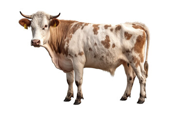 close up cattle isolated on transparent background generative AI.