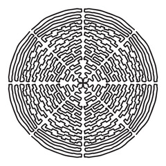 Circle the black and white maze for expansion.