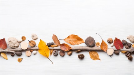 Natural autumn/ fall banner or background with wood, pebbles and colorful leaves on a white, textured background, copyspace for your text, landscape forma