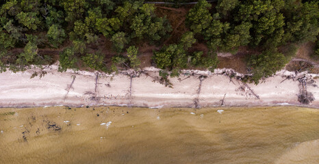 sea shore and woods from the sky