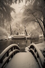 Fototapeta na wymiar Snowy scene in a beautiful city park