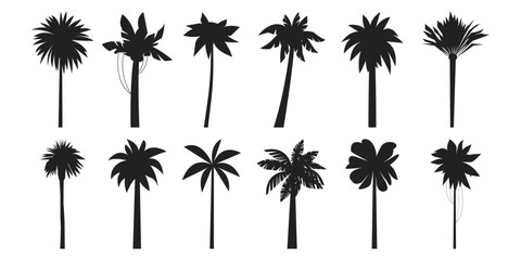 Black palm trees. Exotic summer sea coast plant, coconut and banana tree black icon collection. Vector tropical vacation elements
