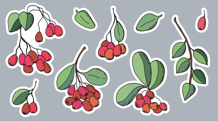 Set of red berries stickers. Drawn style.