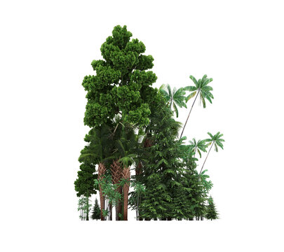 group of trees with a shadow under it, isolated on a transparent background, 3D illustration, cg render